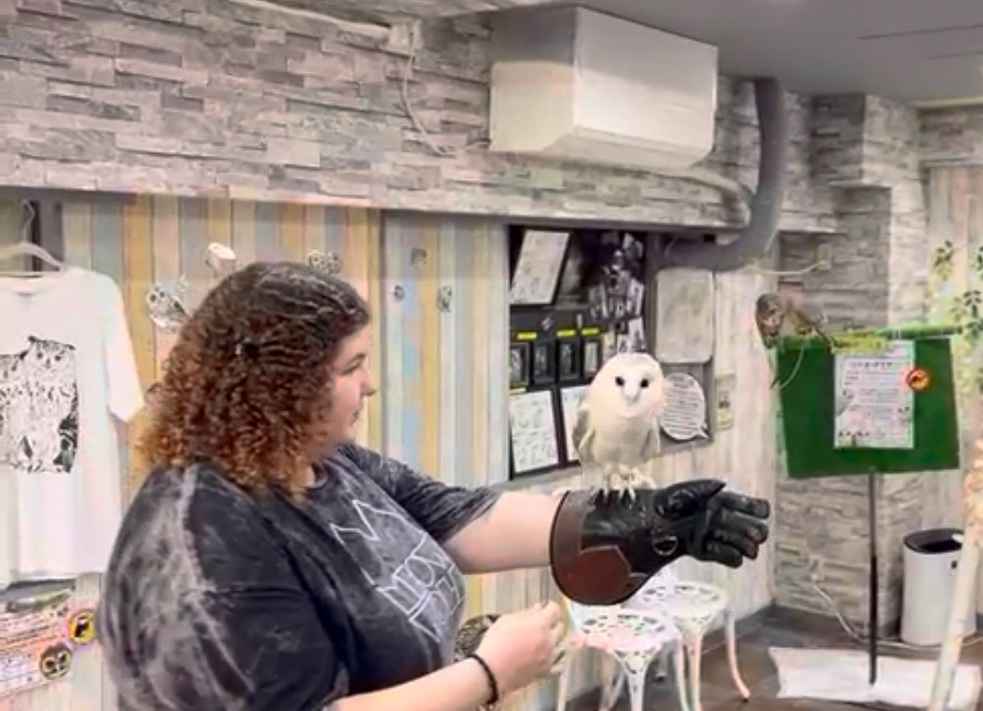 With an Owl at a Rescue Cafe in Tokyo