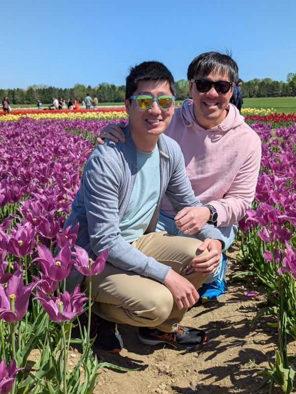 Enjoying a Spring Tulip Festival