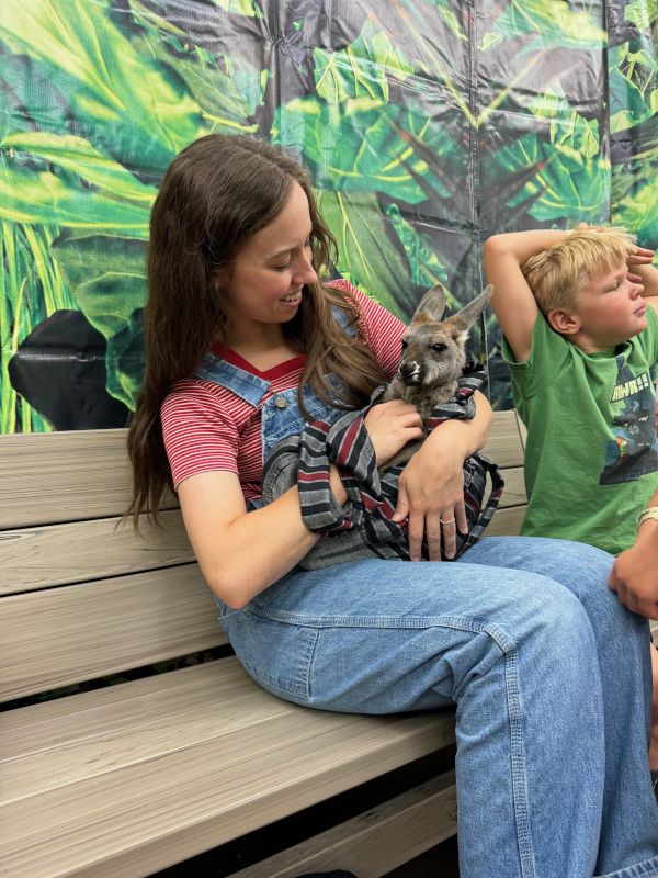 Baby Kangaroo