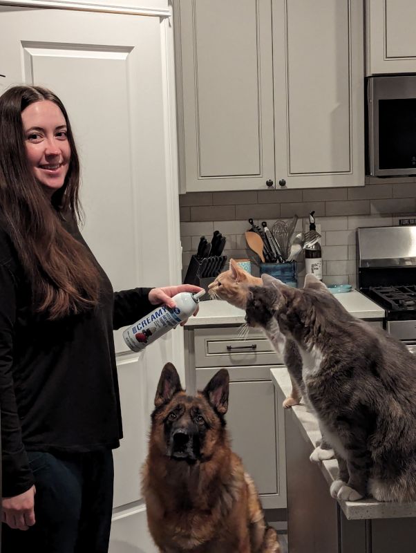 All Our Pets Waiting Patiently for a Treat