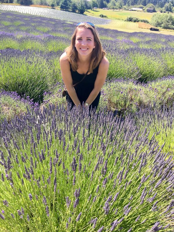 In a Lavender Field