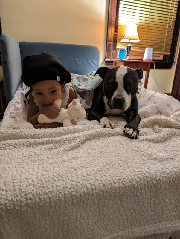 Getting Ready for Bed