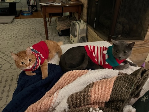 Dressing Up Our Cats