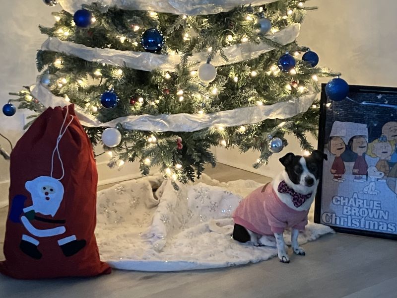 Christmas Decorating