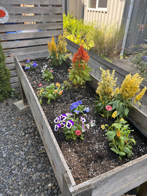 Michael Loves Keeping Our Flower Bed Looking Gorgeous