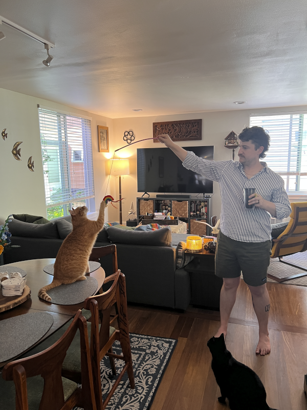 Michael Playing With Our Cats Denver and Bear