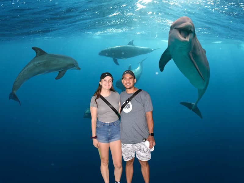 Visiting the Aquarium in Atlanta
