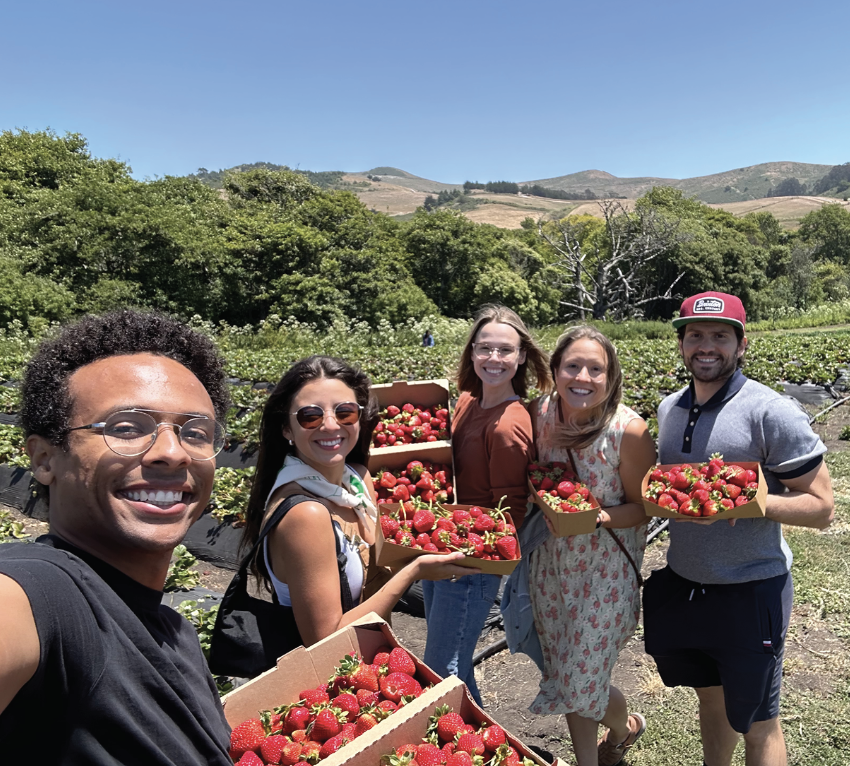 Annual Strawberry Picking